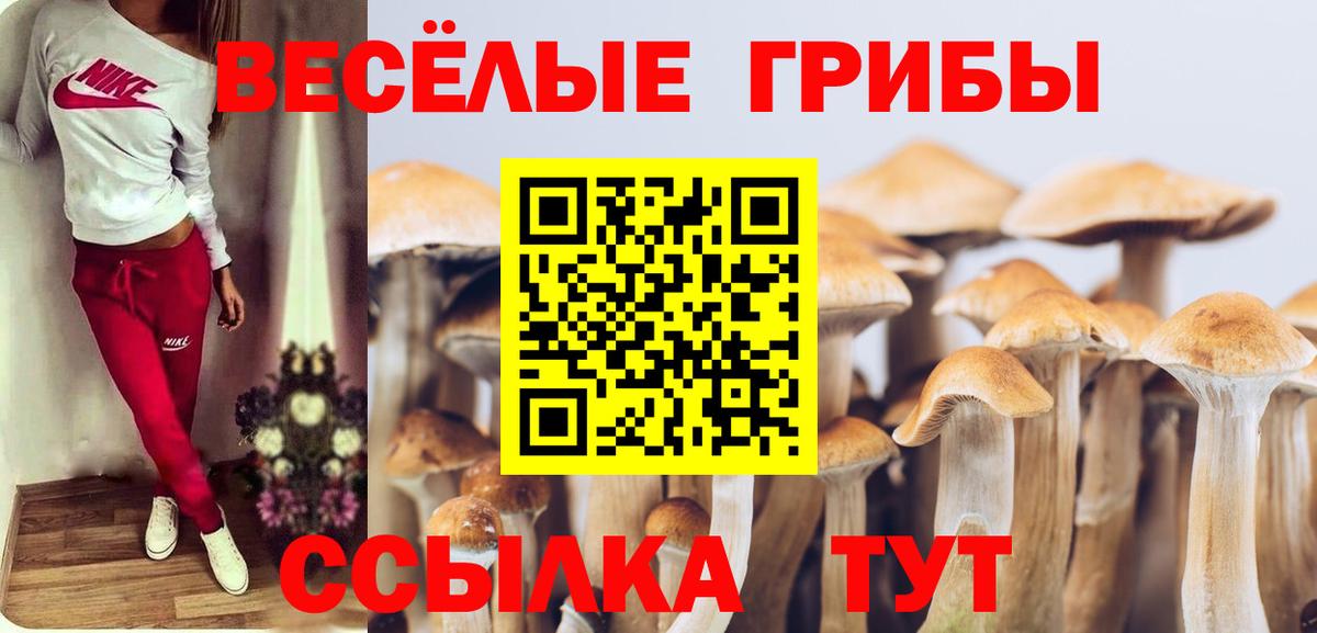 Галлюциногенные грибы GOLDEN TEACHER Реж