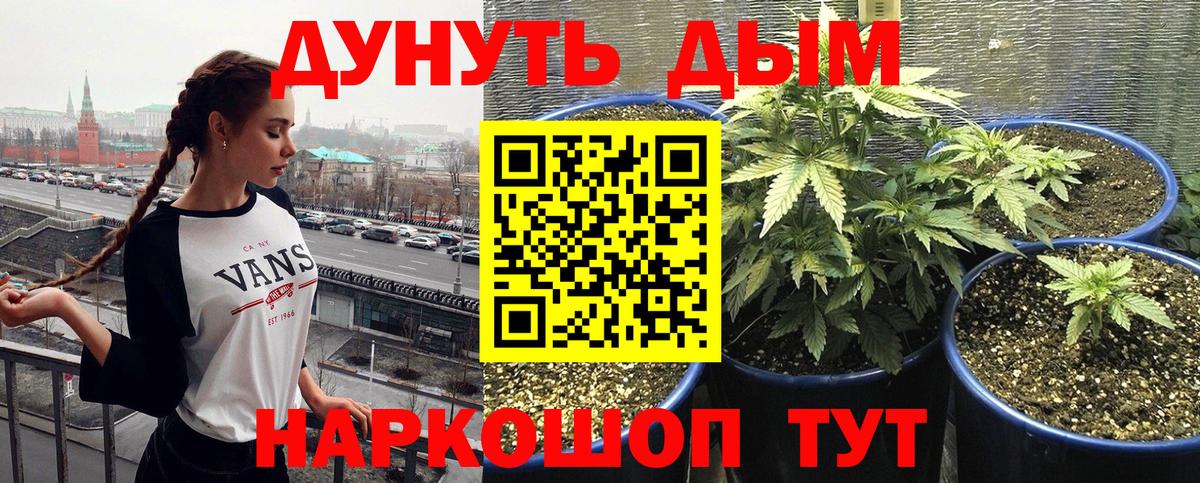 Конопля AK-47  Каннабис тримм  Бошки марихуана гибрид  Вход с VPN  Реж  Марихуана тримм 
